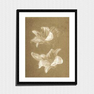 Art Print, Minimalist White Flower Sketch